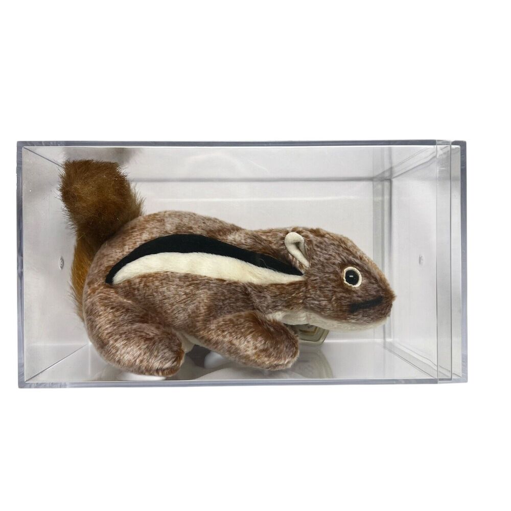 Ty Original Beanie Baby 1999 Chipper the Chipmunk MWMTs Plush In Storage Box